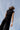 SALANIDA Asymetric Top in Black | NUOVO
